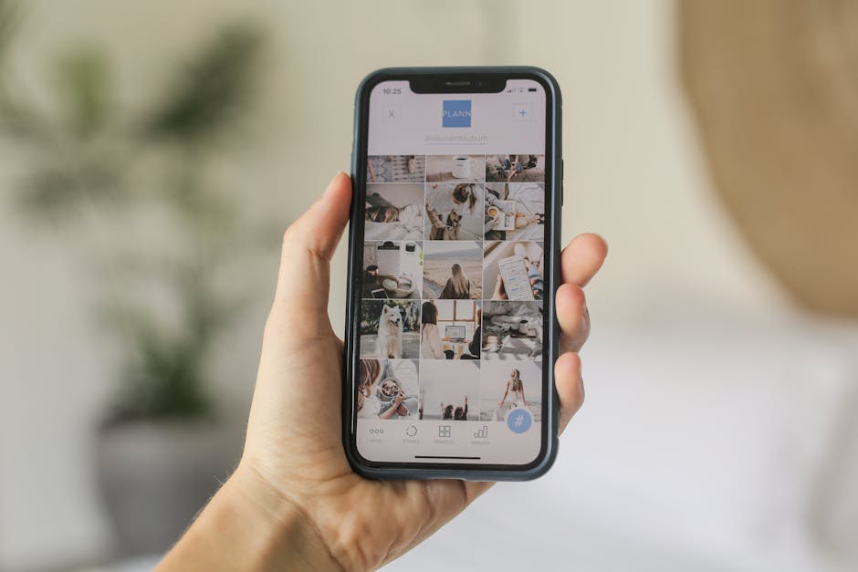 Курсы программирования и UI/UX дизайна